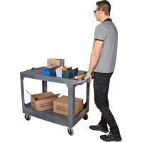 Flat-Shelf Utility Service Cart, 2 Tiers, 25-1/4" x 32-1/4" x 44", 550 lbs. Capacity EastCoast Offshore Supplies