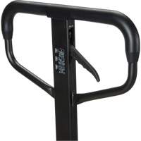 Quick-Lift Manual Pallet Truck, Steel, 48" L x 20.5" W, 5500 lbs. Capacity EastCoast Offshore Supplies