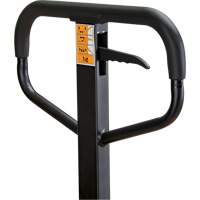 Manual Pallet Truck, Steel, 48" L x 21" W, 5500 lbs. Capacity EastCoast Offshore Supplies
