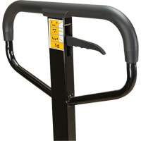 Manual Pallet Truck, Steel, 48" L x 27" W, 5500 lbs. Capacity EastCoast Offshore Supplies