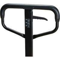 Steel Wheel Pallet Truck, Steel, 48" L x 27" W, 5500 lbs. Capacity EastCoast Offshore Supplies