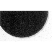 7300 Pro-Strip Pads, 17", Stripping, Black EastCoast Offshore Supplies