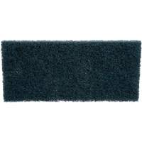 Scrubber Pad, 10" L x 4-5/8" W EastCoast Offshore Supplies