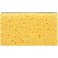 Utility Sponges, Cellulose, 6" W x 3-1/2" L EastCoast Offshore Supplies