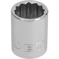 Socket, 12 mm, 3/8" Drive, 12 Points EastCoast Offshore Supplies
