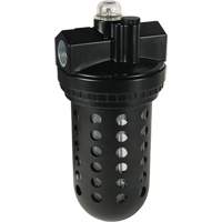 Wilkerson EconOmist&reg; Standard Lubricator L30, 3/4", Max. 150 PSI, Standard EastCoast Offshore Supplies