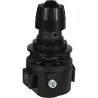 R&eacute;gulateur Wilkerson R26, 3/8" NPT, PSI max. de 300 psi, Standard EastCoast Offshore Supplies