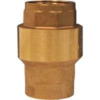 Horizontal Swing Check Valve EastCoast Offshore Supplies