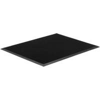Tapis Gritstop Fingermat, Caoutchouc, Grattoir Type, Motif Textur&eacute;, 2' x 2-2/3', Noir EastCoast Offshore Supplies