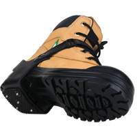 Crampons &agrave; glace Heelstop intrins&egrave;ques, Carbure de tungst&egrave;ne, Traction Crampon, Grand EastCoast Offshore Supplies