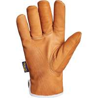 Gants Endura, Grand, Paume en Synth&eacute;tique, Doublure en Thinsulate EastCoast Offshore Supplies