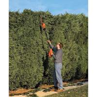 Ensemble de taille-haie sur perche sans fil Max* EastCoast Offshore Supplies