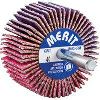 Mini-meule &agrave; lamelles mont&eacute;e sur tige, C&eacute;ramique d'alumine, Grain 40, 2" x 1" x 1/4" EastCoast Offshore Supplies