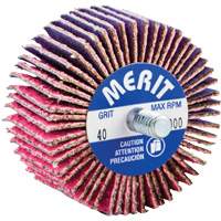 Mini-meule &agrave; lamelles filet&eacute;es, C&eacute;ramique d'alumine, Grain 40, 2" x 1" x 1/4"-20 EastCoast Offshore Supplies
