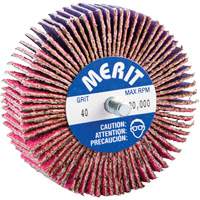 Mini-meule &agrave; lamelles filet&eacute;es, C&eacute;ramique d'alumine, Grain 40, 3" x 1" x 1/4"-20 EastCoast Offshore Supplies