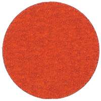 Blaze R980P Quick-Change Cloth Disc, 2" Dia., 60 Grit, Ceramic Alumina EastCoast Offshore Supplies