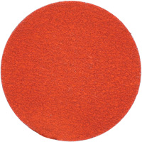 Blaze R980P Quick-Change Cloth Disc, 2" Dia., 120 Grit, Ceramic Alumina EastCoast Offshore Supplies