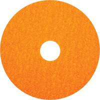 BlazeX F980 Fiber Disc, Ceramic Alumina, 36, 5" Dia x 7/8" Arbor EastCoast Offshore Supplies