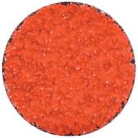 Blaze R980P CA Coarse Grit TS (Type II) Quick-Change Cloth Disc, 3" Dia., 60 Grit, Ceramic EastCoast Offshore Supplies