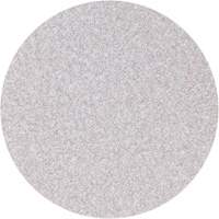 Hook & Loop Sanding Discs