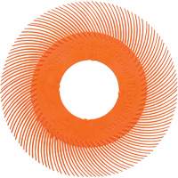 Scotch-Brite Type C Precision Radial Bristle Brush PN-RB without Adapter, Ceramic, 80+ Grit, 6" Dia. EastCoast Offshore Supplies