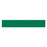 &eacute;tiquette magn&eacute;tique inscriptible, Magn&eacute;tique, 600" lo x 1" la EastCoast Offshore Supplies