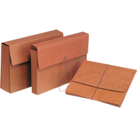 Expandable File Folders