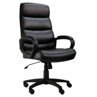 Activ Series A-601 Office Chair, Polyurethane, Black, 275 lbs. Capacity EastCoast Offshore Supplies