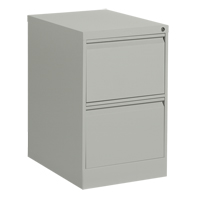 Vertical Filing Cabinet, Steel, 2 Drawers, 18-1/7" W x 25" D x 29" H, Grey EastCoast Offshore Supplies