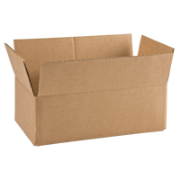 Boîte en carton ondul&eacute;, 12" lo x 6" la x 4" h, ondulations C EastCoast Offshore Supplies