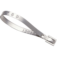 Scell&eacute;s Guard Lock, 8-3/8", M&eacute;tal, Scell&eacute; pour camion EastCoast Offshore Supplies