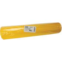 Sacs &agrave; d&eacute;chets, Biorisque, 60" lo x 36" la, 6 mils EastCoast Offshore Supplies