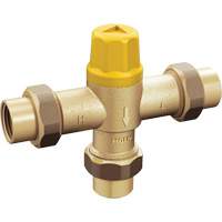 Adjustable Temperature Thermostatic Mixing Valve EastCoast Offshore Supplies