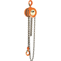 Chain Hoist, 10' Lift, 1000 lbs. (0.5 tons) Capacity, Steel Chain EastCoast Offshore Supplies