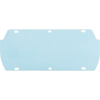 Facetec Polycarbonate Visor, Polycarbonate, Clear Tint EastCoast Offshore Supplies
