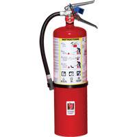 Fire Extinguisher, ABC, 10 lbs. Capacity EastCoast Offshore Supplies