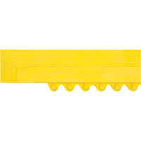 Rampe de bordure pour tapis EastCoast Offshore Supplies