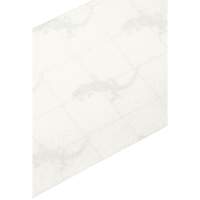 Ruban antid&eacute;rapant de premi&egrave;re qualit&eacute;, 4" x 60', Transparent EastCoast Offshore Supplies