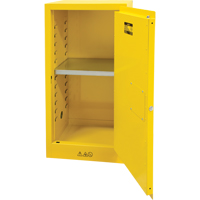 Flammable Storage Cabinet, 16 gal., 1 Door, 23" W x 44" H x 18" D EastCoast Offshore Supplies