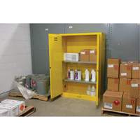 Armoire pour produits inflammables, 45 gal., 2 Porte(s), 43" La x 65" h x 18" p EastCoast Offshore Supplies