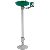 Axion&reg; Eye/Face Wash Station, Pedestal Installation, Plastic Bowl EastCoast Offshore Supplies