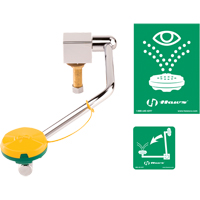 Eye/Face Wash Station, Sink Mount Installation EastCoast Offshore Supplies