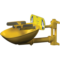 Postes de douche oculaire/faciale Halo, Installation Montage mural, Bol Plastique EastCoast Offshore Supplies