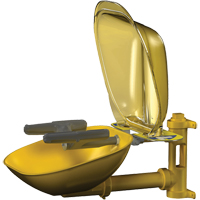 Postes de douche oculaire/faciale Halo, Installation Montage mural, Bol Plastique EastCoast Offshore Supplies