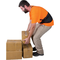 Back Support, Elastic, Small EastCoast Offshore Supplies