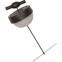 Small Seal EastCoast Offshore Supplies