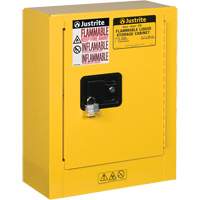 Sure-Grip&reg; EX Mini Flammable Safety Cabinet, 2 Gal., 1 Door, 17" W x 22" H x 8" D EastCoast Offshore Supplies