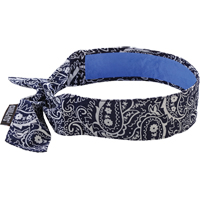 Chill-Its&reg; 6700CT Cooling Bandanas, Blue EastCoast Offshore Supplies