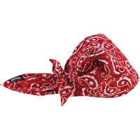 Bandeaux en triangle 6710CT de refroidissement en tissu de serviette Chill-Its, Rouge EastCoast Offshore Supplies