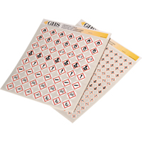 GHS Hazard Pictogram Label Variety Packs, Vinyl, Sheet, 1" L x 1" W EastCoast Offshore Supplies